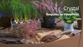  Presentation with urban green - Colorful presentation theme enhanced with replanting-plants-herbs-flowers backdrop and a tawny brown colored foreground