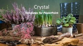  Presentation with urban green - Amazing PPT layouts having replanting-plants-herbs-flowers backdrop and a dark gray colored foreground