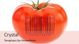  Presentation with product - PPT layouts with tomato coded to represent product background and a coral colored foreground