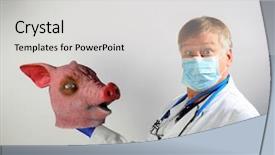  Presentation with swine flu - Theme featuring representing the mexican swine flu background and a light gray colored foreground