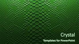  Presentation with green fashion - Colorful presentation design enhanced with reptile scales - fashion green leather backdrop and a tawny brown colored foreground