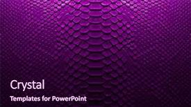  Presentation with purple - Colorful presentation theme enhanced with reptile scales - fashion purple leather backdrop and a wine colored foreground