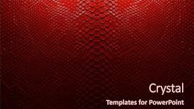  Presentation with red leather cricket ball hitting - PPT theme having reptile scales - fashion red leather background and a wine colored foreground