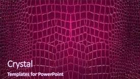  Presentation with reptile - Cool new PPT theme with reptile scales - skin backdrop and a violet colored foreground