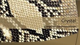  Presentation with reptile - Colorful slide deck enhanced with reptile scales - snake skin pattern background backdrop and a coral colored foreground