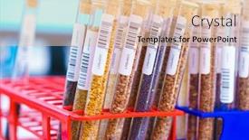  Presentation with agricultural - Beautiful presentation theme featuring research-analyzing-agricultural-grains backdrop and a lemonade colored foreground