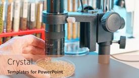  Presentation with agricultural - Slide deck having research-analyzing-agricultural-grains background and a coral colored foreground