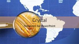  Presentation with fast food - Amazing presentation theme having research bread - popular food concept looking backdrop and a  colored foreground