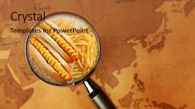  Presentation with fast food - Cool new presentation design with research bread - popular food concept looking backdrop and a  colored foreground