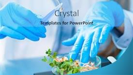  Presentation with photosynthesis - Slides with research-of-photosynthesis-of-green background and a light blue colored foreground