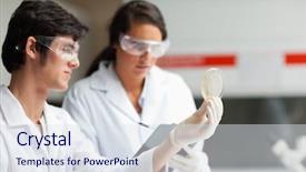  Presentation with petri dish - PPT theme featuring research paper microbiology - science students looking at petri background and a sky blue colored foreground