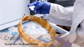  Presentation with scientific research - PPT theme enhanced with researcher-carrying-out-scientific-research background and a coral colored foreground