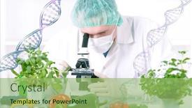  Presentation with gmo - Amazing PPT theme having researcher-with-gmo-plants-genetically backdrop and a seafoam green colored foreground