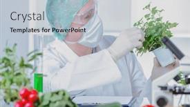  Presentation with genetic modified organism - Theme having researcher-with-gmo-plants-genetically background and a lemonade colored foreground