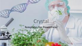  Presentation with gmo - Audience pleasing PPT layouts consisting of researcher-with-gmo-plants-genetically backdrop and a lemonade colored foreground