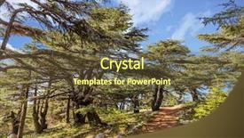  Presentation with middle east - Beautiful theme featuring reservation - trees of al shouf cedar backdrop and a tawny brown colored foreground