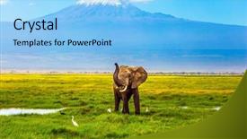  Presentation with safari - Presentation theme consisting of reservations - safari - tour background and a light blue colored foreground