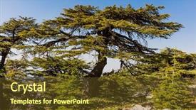  Presentation with middle east - Beautiful PPT theme featuring reserve barouk in mount lebanon backdrop and a tawny brown colored foreground