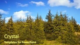  Presentation with middle east - Presentation theme consisting of reserve barouk in mount lebanon background and a tawny brown colored foreground