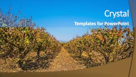  Presentation with fruit trees - Presentation theme having reserve of migratory birds in the upper galilee straight rows of fruit trees surrounds lake hula background and a teal colored foreground