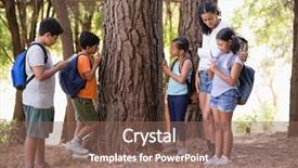  Presentation with teacher and students - Slide set with reserve studies - students examining tree trunk background and a violet colored foreground