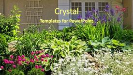  Presentation with iris flower - Slides with residential landscaped garden with flowers background and a tawny brown colored foreground