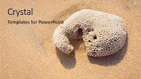  Presentation with surfing - Slide deck featuring resort bali indonesia - beautiful surfing tropical sand beach background and a  colored foreground