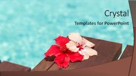  Presentation with hibiscus flower - Beautiful PPT theme featuring resort concept - beautiful purple hibiscus backdrop and a arctic colored foreground