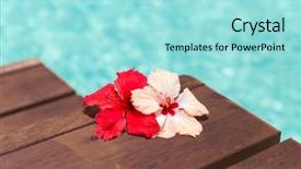  Presentation with hibiscus flower - PPT layouts with resort concept - beautiful purple hibiscus background and a arctic colored foreground