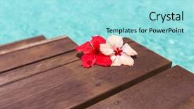  Presentation with hibiscus flower - Colorful slide deck enhanced with resort concept - beautiful purple hibiscus backdrop and a arctic colored foreground