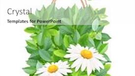  Presentation with eco bag - Presentation design featuring responsible-consumption-butterfly-and-shopping background and a white colored foreground