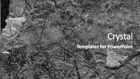  Presentation with humanity - Beautiful PPT layouts featuring rest of the fern fan backdrop and a dark gray colored foreground