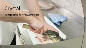  Presentation with colorful fancy carp fish koi - PPT theme enhanced with restaurant kitchen filleting carp fish background and a coral colored foreground