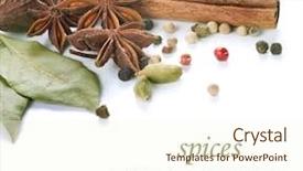  Presentation with indian restaurant - Audience pleasing PPT theme consisting of restaurant menu indian - spices border isolated on white backdrop and a cream colored foreground