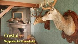 Presentation with hunting - Presentation design having restaurant with hunting decor background and a tawny brown colored foreground