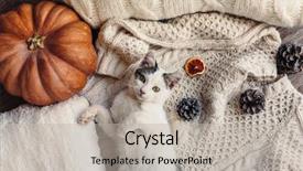  Presentation with hello kitty cute little kitten - Beautiful presentation theme featuring resting on soft pullover november backdrop and a light gray colored foreground