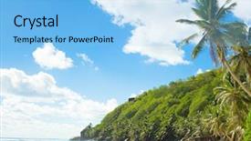  Presentation with crime scene unit - Theme consisting of resting palm tree - scene under the sun idyllic background and a light blue colored foreground