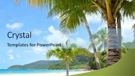  Presentation with sun flares on a blue - Audience pleasing presentation theme consisting of resting palm tree - sunny tropical beach under blue backdrop and a  colored foreground