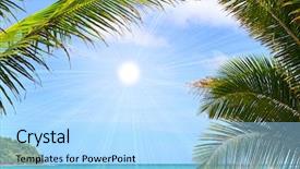  Presentation with sky sun - Amazing theme having resting palm tree - tropical paradise beach under blue backdrop and a light blue colored foreground