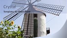 Presentation with sunflowers - Amazing presentation theme having restored-windmill-with-cacti backdrop and a light blue colored foreground