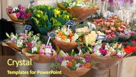  Presentation with wall street price - Beautiful PPT theme featuring retail vendor - various flower bouquets in baskets backdrop and a tawny brown colored foreground
