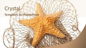  Presentation with fishing net - Cool new PPT theme with reticulatus on a fishing net backdrop and a lemonade colored foreground