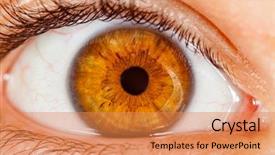  Presentation with eye retina - Cool new theme with retina - photo human eye close-up backdrop and a coral colored foreground