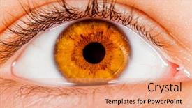  Presentation with eye retina - Presentation design featuring retina eyes - photo human eye close-up background and a coral colored foreground