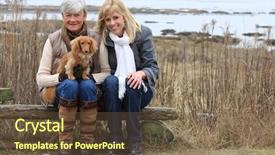  Presentation with mother tiger and lion - PPT theme having old english dictionary page background and a mint green colored foreground