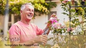  Presentation with home garden - Beautiful PPT theme featuring retired-man-at-work-pruning backdrop and a coral colored foreground