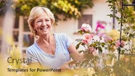  Presentation with home garden - Cool new presentation design with retired-woman-at-work-pruning backdrop and a yellow colored foreground