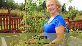  Presentation with vegetable garden - PPT layouts enhanced with retired woman in the vegetable garden holding a basket of freshly picked lettuce and tomatoes background and a gold colored foreground