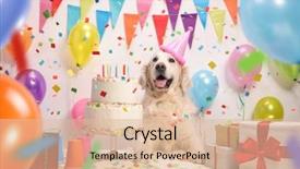  Presentation with cake dog - PPT layouts consisting of retriever dog with a birthday background and a lemonade colored foreground