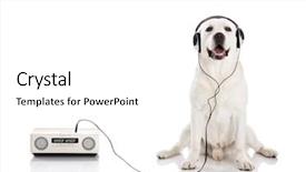  Presentation with teal design music - PPT theme featuring retriever listen music with headphones background and a white colored foreground